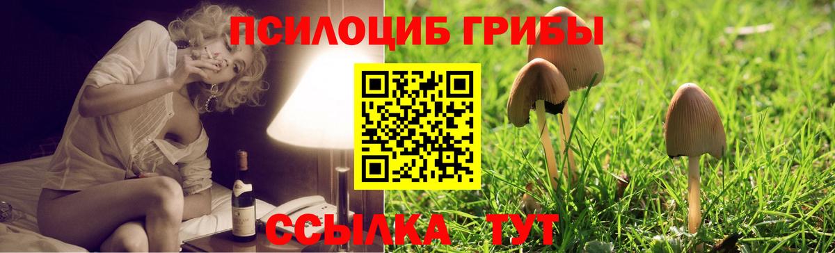 Галлюциногенные грибы MAGIC MUSHROOMS  Галлюциногенные грибы мухоморы  Вход с VPN  Ессентуки 